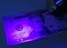 variant image