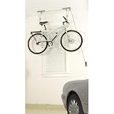 Delta Cycle El Greco Ceiling Hoist