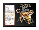 Asian Zodiac Poster Year of the Tiger: Birth Years 1914 1926 1938 1950 1962 1974 1986 1998 2010