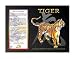  : Asian Zodiac Poster Year of the Tiger: Birth Years 1914 1926 1938 1950 1962 1974 1986 1998 2010