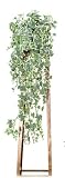 from JustArtificial Artificial Silk Frosted Holland Ivy - Variegated Trail 295 Leaf Count