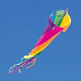 Premier Designs 48 In. Spinsock - Circus