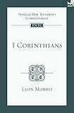 1 Corinthians : an introduction and commentary
