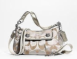 Coach Signature Poppy Groovy Shoulder Crossbody Bag Purse 13833 Platinum