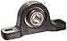 Link-Belt PU320 Ball Bearing Pillow Block, 2 Bolt Holes, Heavy-Duty, Relubricatable, Non-Expansion, Cast Iron, Setscrew Locking Collar, Inch, 1-1/4" Bore Diameter