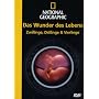 National Geographic - Das Wunder des Lebens - Zwillinge, Drillinge & Vierlinge