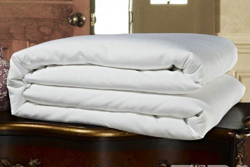 Natural Deodorizer Bamboo Charcoal Duvet Insert,
