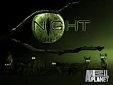Hyenas thumbnail