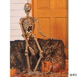 Discount Halloween Props