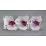 Kunstblumen 3 St. Schwimm-Orchideen WEISS-LILA