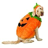 Big Pumpkin Pet Costume - XX- Large