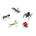 Hidden Kingdom Insect Collection