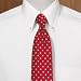 Trim Fit Imperial 100s Buttondown Collar Button Cuff Dress Shirt