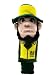 NCAA Notre Dame Team Mascot Head Cover