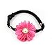 PetFavorites Designer Rhinestones Daisy Flower Charm Suede Leather Pet Cat Dog Bow Tie Collar Necklace Pearl Pets Cats Extra Small Dogs Female Puppy Yorkie Girl (Hot Pink, Size XS)