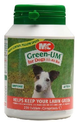 Green-Um for Dogs 11-44lbs - 250 Tabs