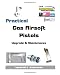 Practical Gas Airsoft Pistols: Upgrade & Maintenance