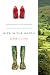 Wife in the North (Paperback)