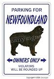 NEWFOUNDLAND ~Novelty Sign~ dog pet signs gift