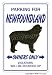 NEWFOUNDLAND ~Novelty Sign~ dog pet signs gift