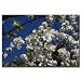 White Floral Tree by Cary Hahn-35x47 CanvasArt Ready to Hang