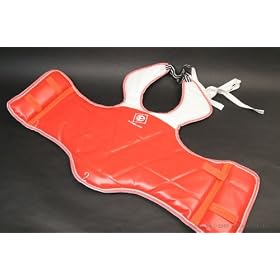 Click here to buy Official Reversible Body Guard.