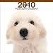 poodle28 - Poodle 2010 Square Wall ARTLIST Multilingual Edition