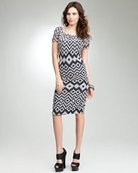 Cowl Neck Print Mesh Dress