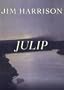 Julip [With Headphones] (Playaway Adult Fiction)