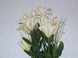 Tigerlily Bush-Cream