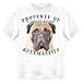 Bullmastiff Property Of Adult T Shirt