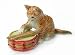 CAT GINGER TABBY plays Snare DRUM Tiny PORCELAIN NORTHERN ROSE R242