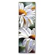 Shasta Parade - Double-sided Bookmark
