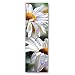 Shasta Parade - Double-sided Bookmark