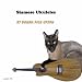 Siamese Ukuleles