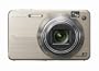 Sony Cybershot DSCW150/G 8.1MP Digital Camera with 5x Optical Zoom with Super Steady Shot (Gold)