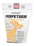 Hammer Perpetuem