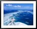 Coral Reef, Torres Strait Islands, Torres Strait Islands, Queensland, Australia Places Framed Photographic Poster Print by Oliver Strewe, 39x31