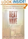 Heat Wave: A Social Autopsy of Disaster in Chicago (Illinois)