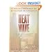 Heat Wave: A Social Autopsy of Disaster in Chicago (Illinois)