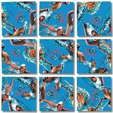 Swimming Champions Scramble Squares