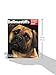 Bullmastiffs: Everything About Their Ancestry, Behavior, Care, Nutrition, and Training (Barron's Complete Pet Owner's Manuals)