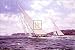 Candida & Astra Off Cowes (LE) - Steven Dews Art Print Poster 30 x 20