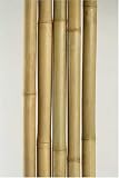 Tonkin Bamboo Poles 1" X 8 Feet , Carton of 12 Poles