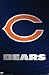 Chicago Bears Team Logo NFL Art Poster Print 22x34