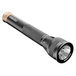 Duracell Daylite LED Flashlight with AA Batteries