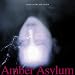 Anklicken zum Vergrößeren: Amber Asylum - Songs of Sex & Death (Audio CD)