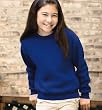 Youth Crewneck Sweatshirt