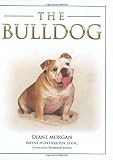 The bulldog
