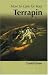 How to Care for Your Terrapin (Your first...series)